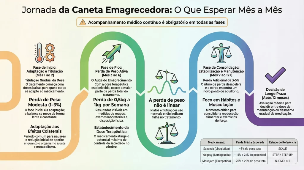 Infográfico de timeline mensal mostrando o que esperar mês a mês durante tratamento com caneta emagrecedora da titulação à manutenção do peso